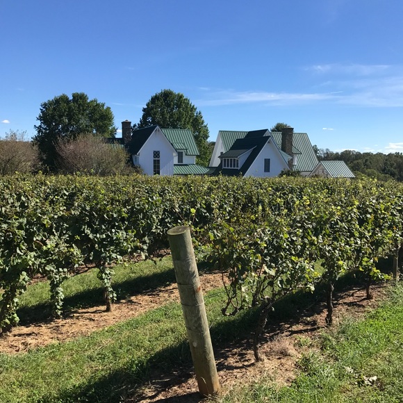 Meet your Posher, Lauren - Picture 1 of 1